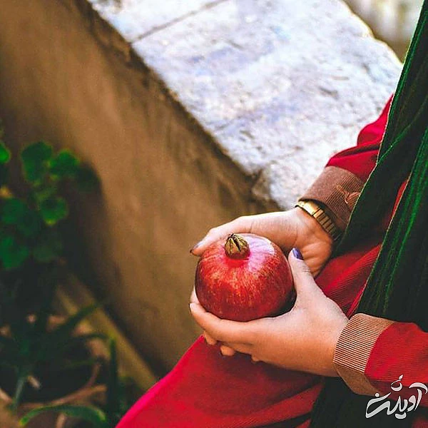 عکس پروفایل یلدا عکس شب یلدا با کیفیت بالا عکس شب یلدا خانوادگی عکس شب یلدا دونفره عکس برای شب یلدا دخترانه عکس شب یلدا 1402 عکس شب یلدا عاشقانه عکس پروفایل یلدا u;s \v,thdg dgnh